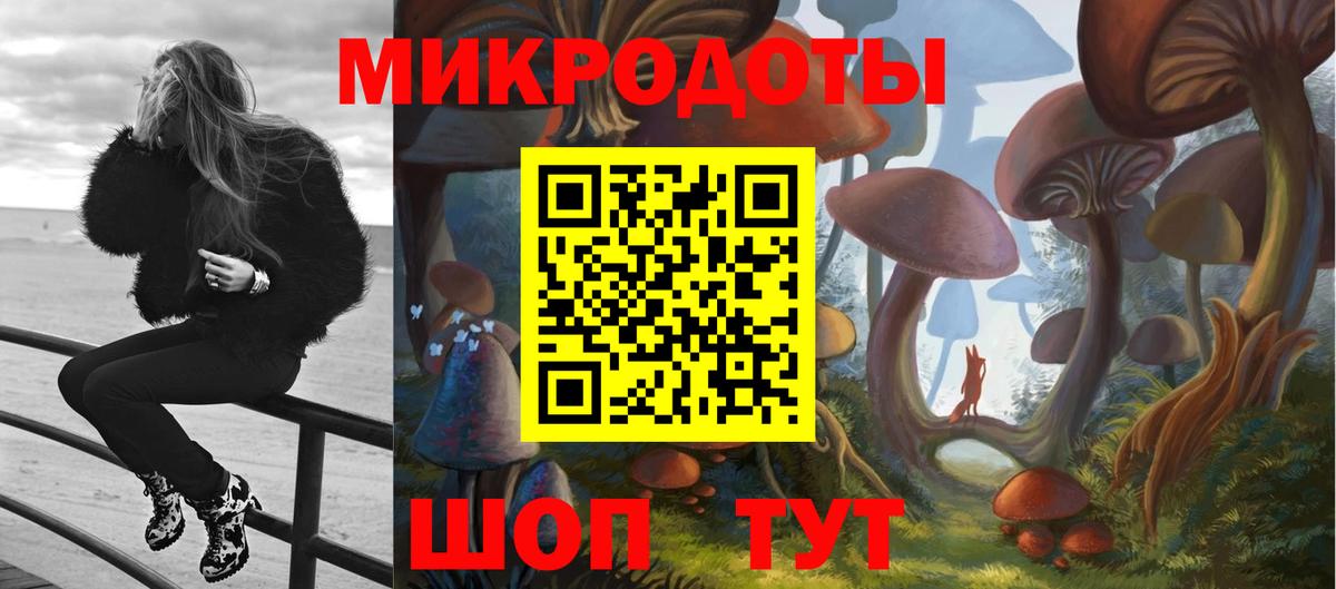 Галлюциногенные грибы Psilocybe  Галлюциногенные грибы Cubensis  Вход с VPN  Тайшет 