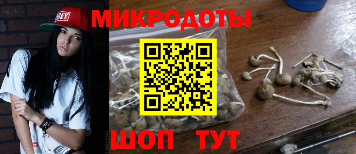 Галлюциногенные грибы Cubensis Тайшет